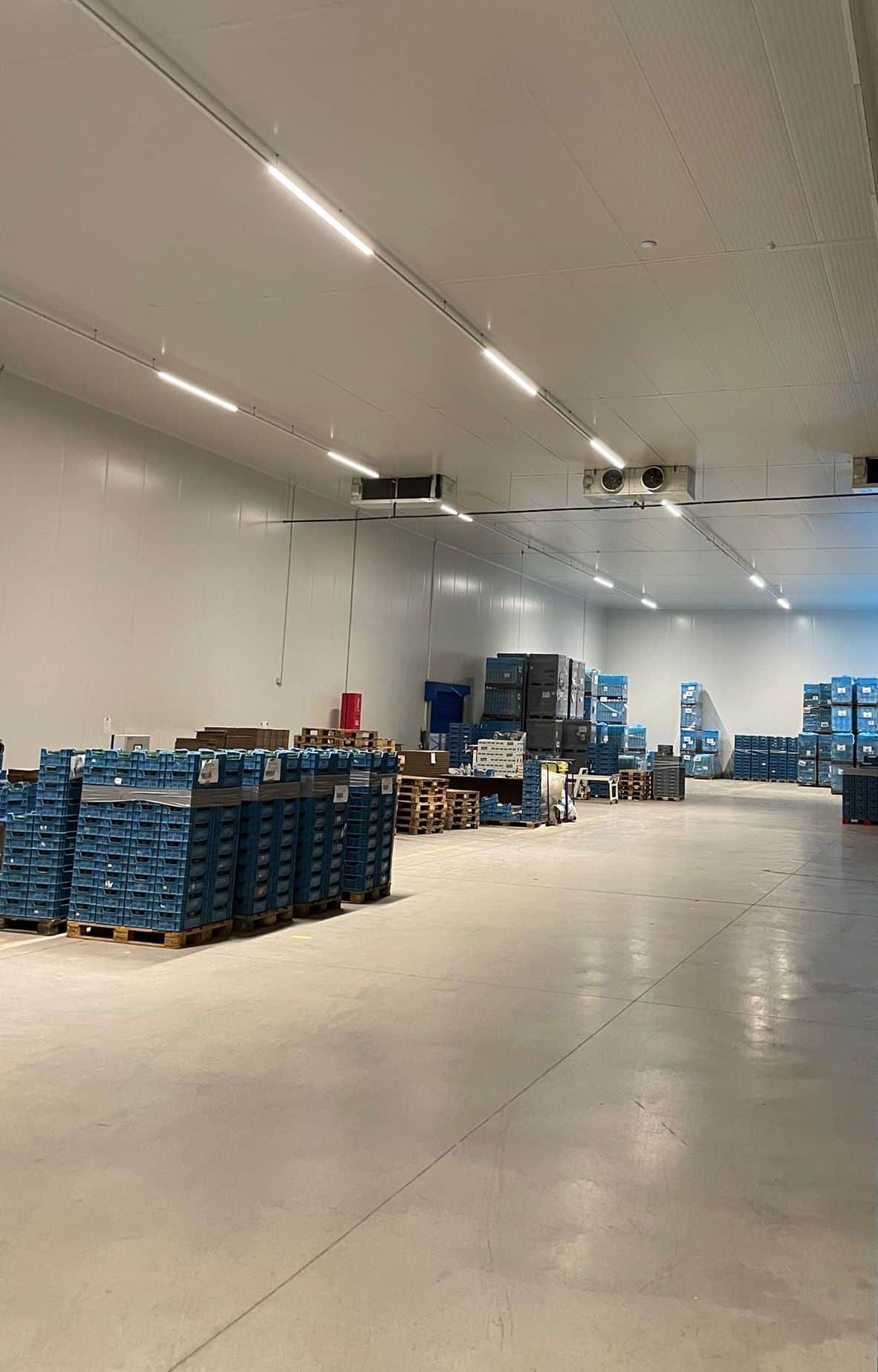 Overzicht van de productie- en logistieke ruimte van BCS Butterfly. er staan meerdere kratten, gevuld met gestapelde blauwe kratten.